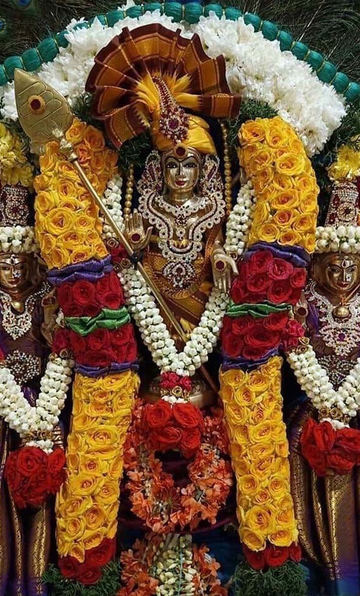 Life Image